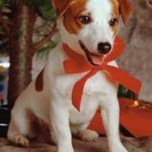 Meet your Posher, Edith